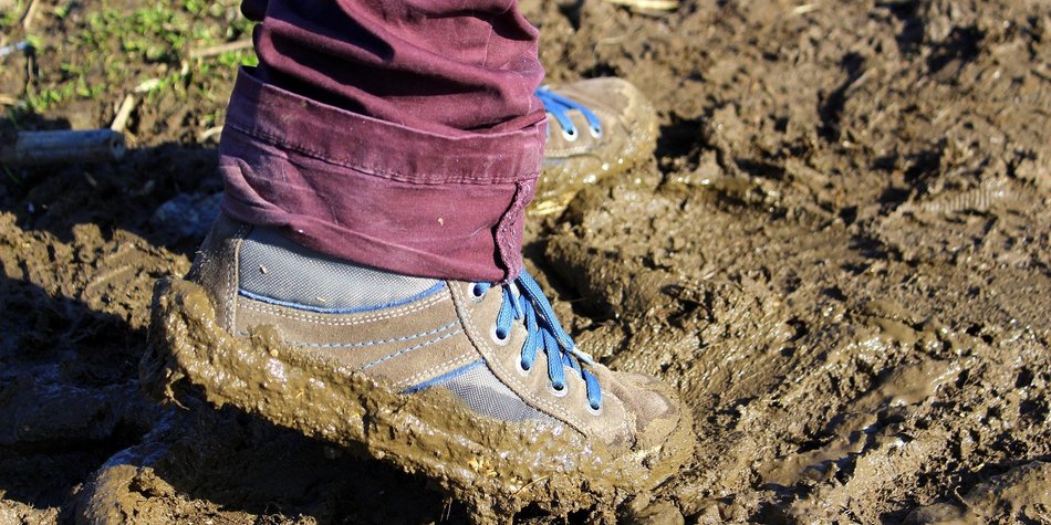 Wie entsteht Boden? Von Steinen und Sand bis Schlamm Wie entsteht Boden? Von Steinen und Sand bis Schlamm