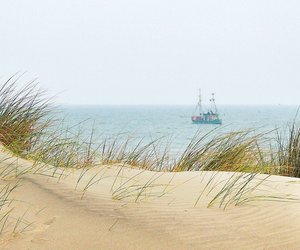 5 Krimi‑Highlights für alle Liebhaber der „Ostfriesenkrimis“ von Klaus‑Peter Wolf