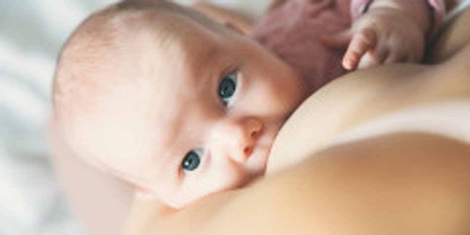 Muttermilch spenden: Der Bedarf ist groß Muttermilch spenden: Der Bedarf ist groß