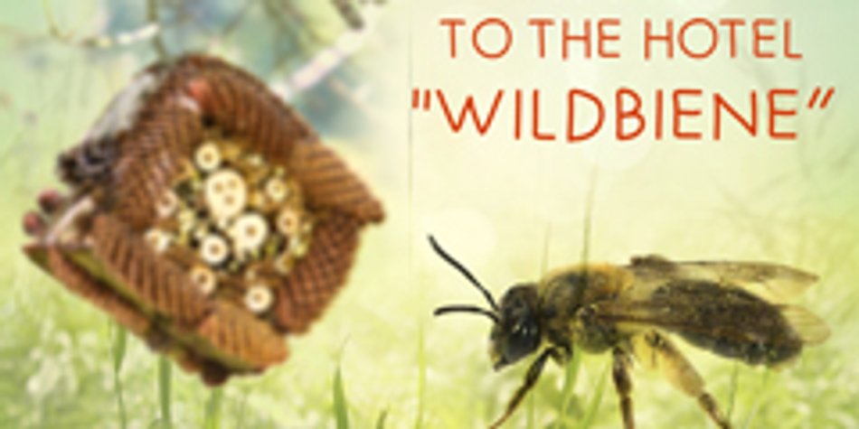 Wildbienenhotel bauen - damit's im Sommer summt Wildbienenhotel bauen - damit's im Sommer summt