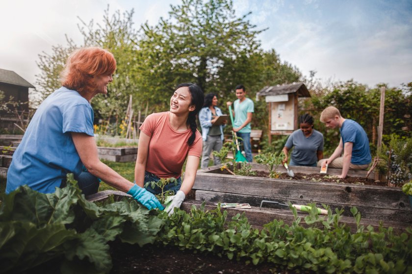Eigenes Grundstück oder Schrebergarten