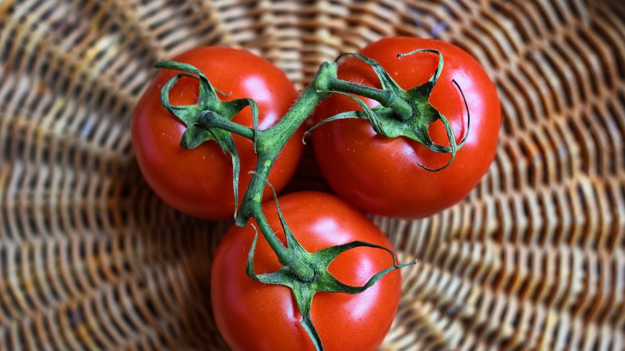 Tomaten sollte man nicht neben Salat lagern.