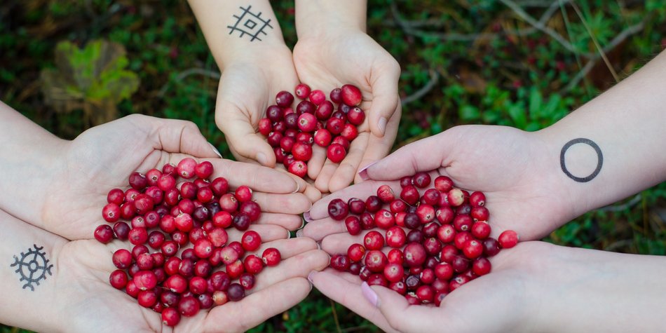 Cranberry roh essen: Geschmack und Inhaltsstoffe im Blick Cranberry roh essen: Geschmack und Inhaltsstoffe im Blick