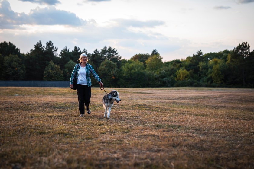 Abendspaziergang mit Hund Abendspaziergang mit Hund