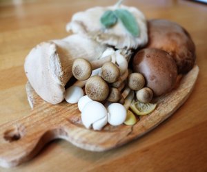 Pilze einfrieren leicht gemacht: So bleibt deine Ernte lecker und frisch!