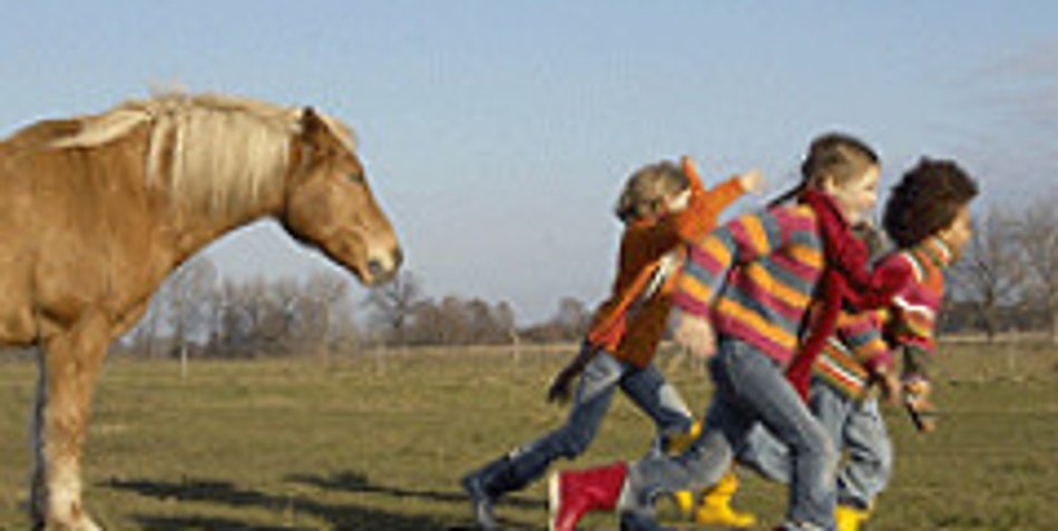 Betreute Kinderferien auf dem Ponyhof Betreute Kinderferien auf dem Ponyhof