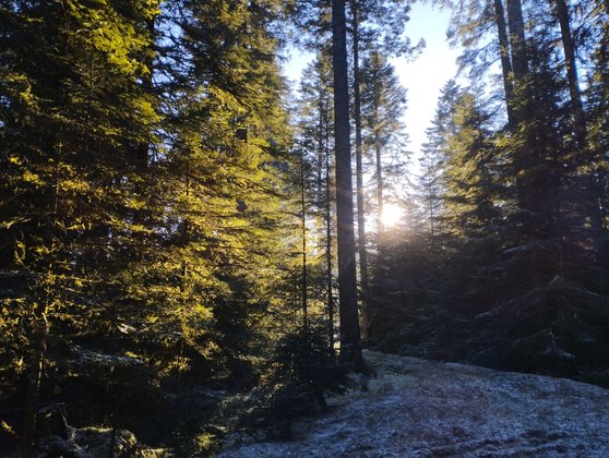 Mutter-Kind-Kur in Loßburg Mutter-Kind-Kur in Loßburg