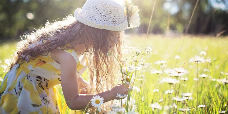 Blumen trocknen: So klappt's kinderleicht! Blumen trocknen: So klappt's kinderleicht!