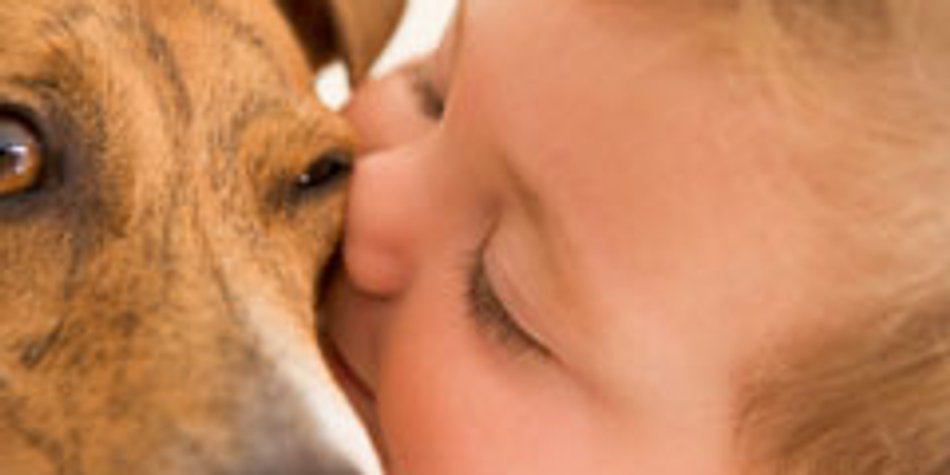 Familienhund: Auf den Hund gekommen Familienhund: Auf den Hund gekommen