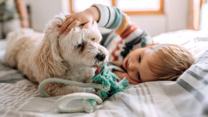 Studien belegen: So gut tun Hunde Kindern wirklich