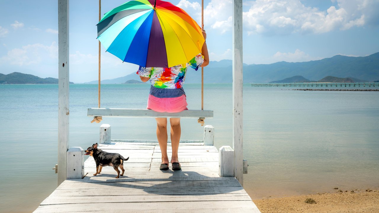 Schütze im Sommer nicht nur dich, sondern auch dein Haustier vor der Sonne. Schütze im Sommer nicht nur dich, sondern auch dein Haustier vor der Sonne.