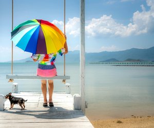 Können Tiere einen Sonnenbrand bekommen? Kindgerecht erklärt