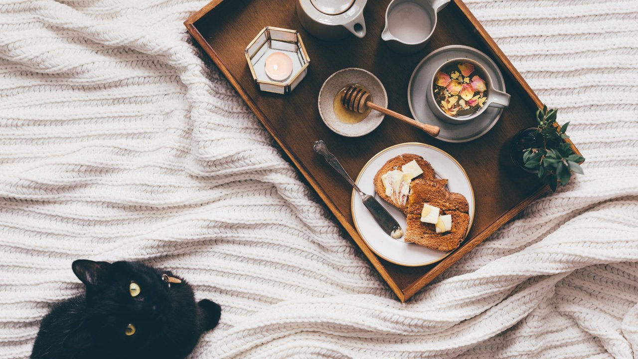 Butter liefert Nährstoffe, ist für Katzen unter Umständen aber gefährlich.