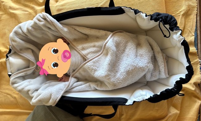 Babynest - Najell Babytrage Babynest - Najell Babytrage