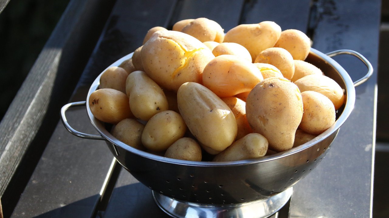 Aus Kartoffeln lassen sich viele leckere Speisen herstellen. Aus Kartoffeln lassen sich viele leckere Speisen herstellen.