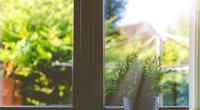 Quälende Hitze: Mit diesen Tricks hältst du deine Wohnung auch bei 36 Grad kühl