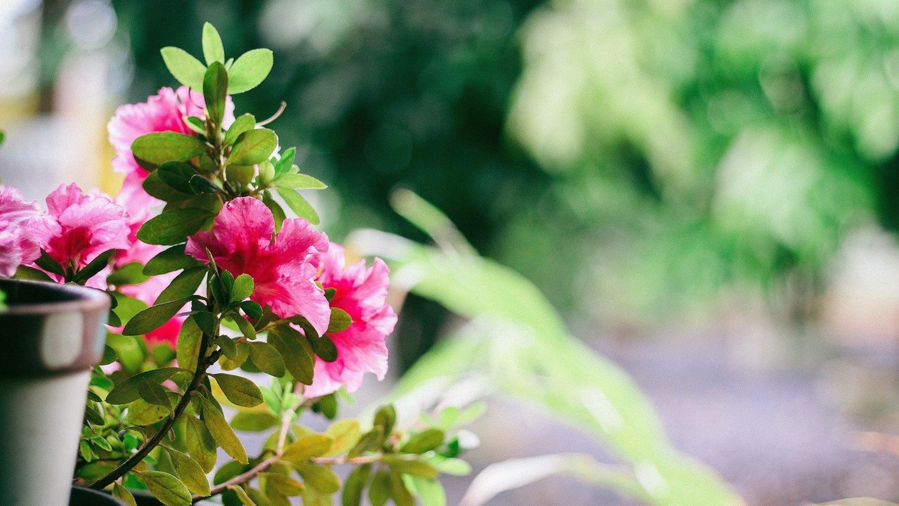 Depot hat da einen Übertopf für euch im Angebot, den ihr euch nicht entgehen lassen solltet. Depot hat da einen Übertopf für euch im Angebot, den ihr euch nicht entgehen lassen solltet.