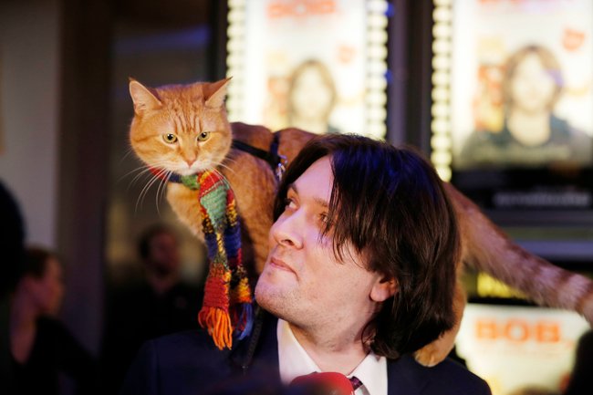 James Bowen und Kater Bob bei einer Filmvorführung. James Bowen und Kater Bob bei einer Filmvorführung.