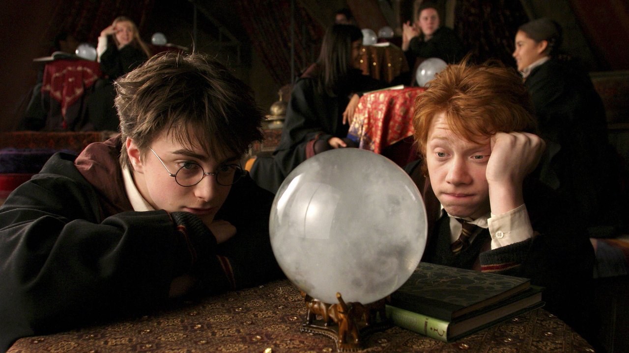 Harry und Ron im Fach Wahrsagerei