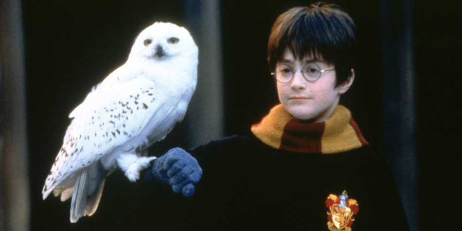 "Harry Potter"-Serie bald bei HBO? Was wir darüber schon wissen "Harry Potter"-Serie bald bei HBO? Was wir darüber schon wissen