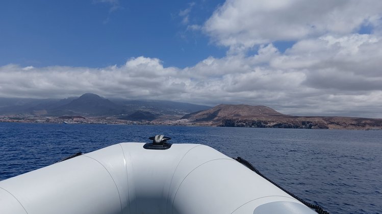 Bootstour zur Walbeobachtung zwischen Teneriffa und La Gomera Bootstour zur Walbeobachtung zwischen Teneriffa und La Gomera