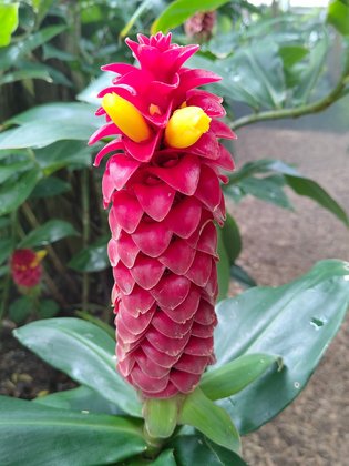 Erfurt mit Kindern Erfurt mit Kindern