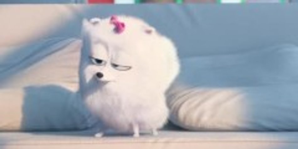 Trailer: Pets (3D) Trailer: Pets (3D)