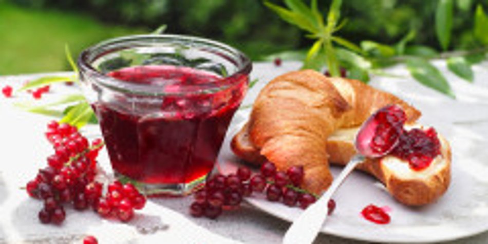 Johannisbeergelee mit Zitronenverbene Johannisbeergelee mit Zitronenverbene