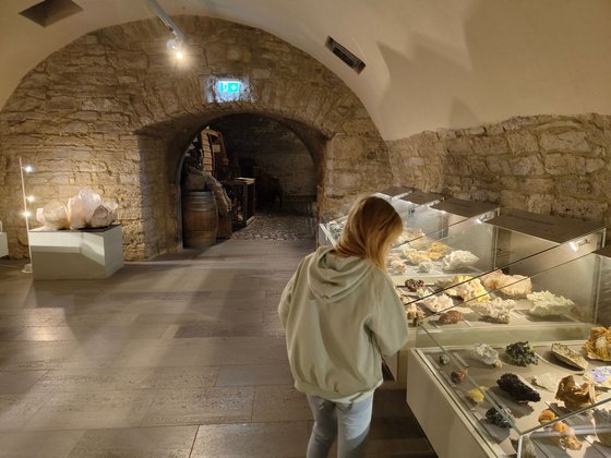 Erfurt mit Kindern Erfurt mit Kindern