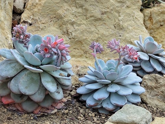 Erfurt mit Kindern Erfurt mit Kindern