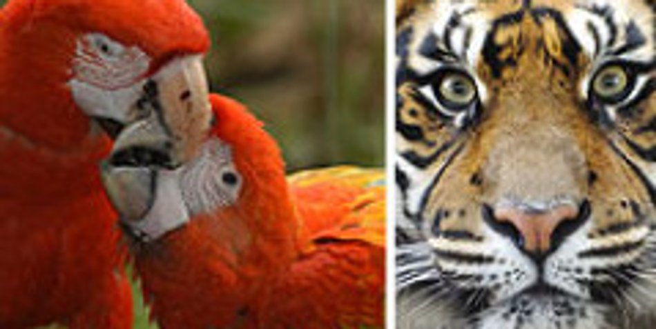 Die besten Zoos für den Familienausflug Die besten Zoos für den Familienausflug