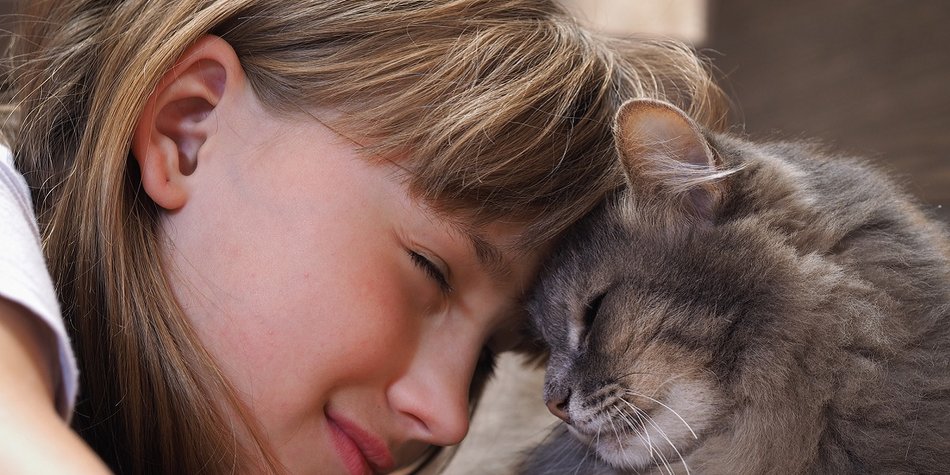 Liebe auf vier Pfoten: Katzen helfen Kindern Liebe auf vier Pfoten: Katzen helfen Kindern