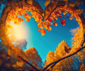 Herbst-Quiz: Wer die Jahreszeit liebt, schafft dieses Quiz mit 12/12 Punkten