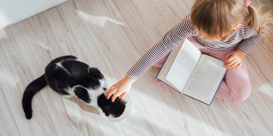 Lesenlernen ohne Erwartungsdruck: Kinder lesen Katzen vor Lesenlernen ohne Erwartungsdruck: Kinder lesen Katzen vor