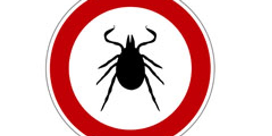 FSME-Impfung für Kinder: Guter Zeckenschutz? FSME-Impfung für Kinder: Guter Zeckenschutz?