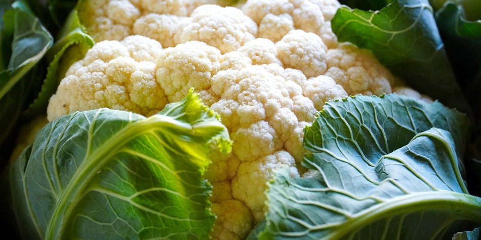 Blumenkohl & Schwangerschaft: So gesund ist der Kohl Blumenkohl & Schwangerschaft: So gesund ist der Kohl