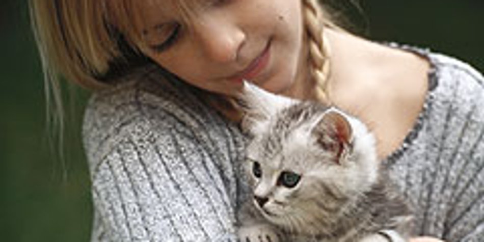 Tiere in der Familie Tiere in der Familie