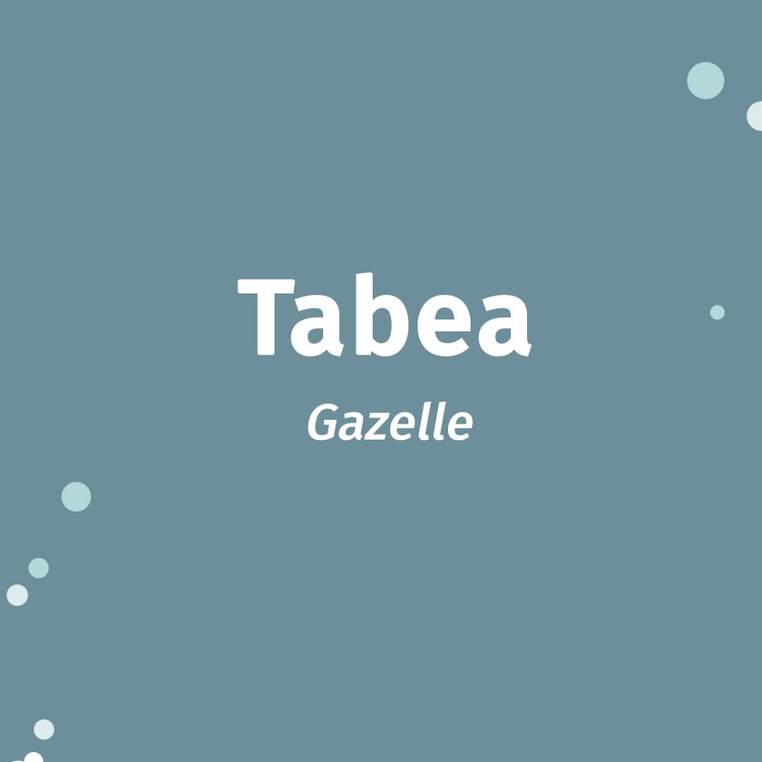 Tabea