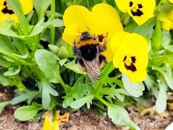 Erfurt mit Kindern Erfurt mit Kindern