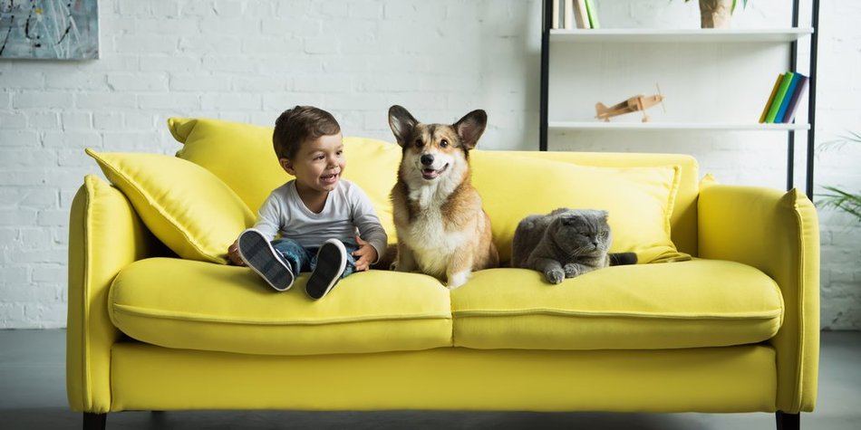 Kinderfilme ab 4: Tierisch gut Kinderfilme ab 4: Tierisch gut