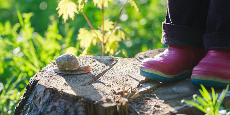 Natur pur: Waldkindergärten im Trend Natur pur: Waldkindergärten im Trend
