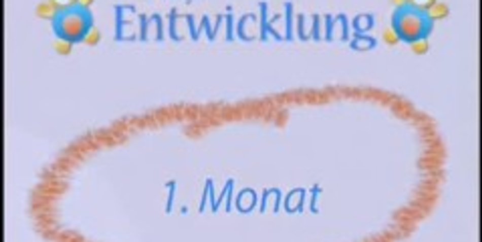 Wie entwickelt sich mein Baby im 1. Monat? Wie entwickelt sich mein Baby im 1. Monat?