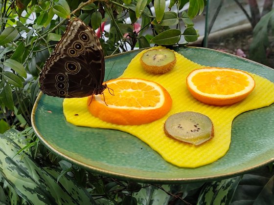 Erfurt mit Kindern Erfurt mit Kindern