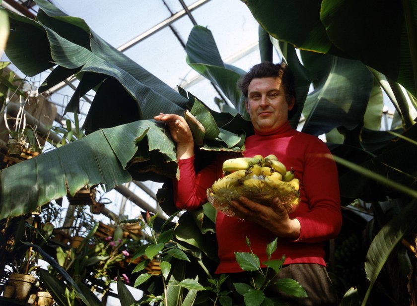 Diese DDR-Lebensmittel waren früher schwer zu bekommen Diese DDR-Lebensmittel waren früher schwer zu bekommen