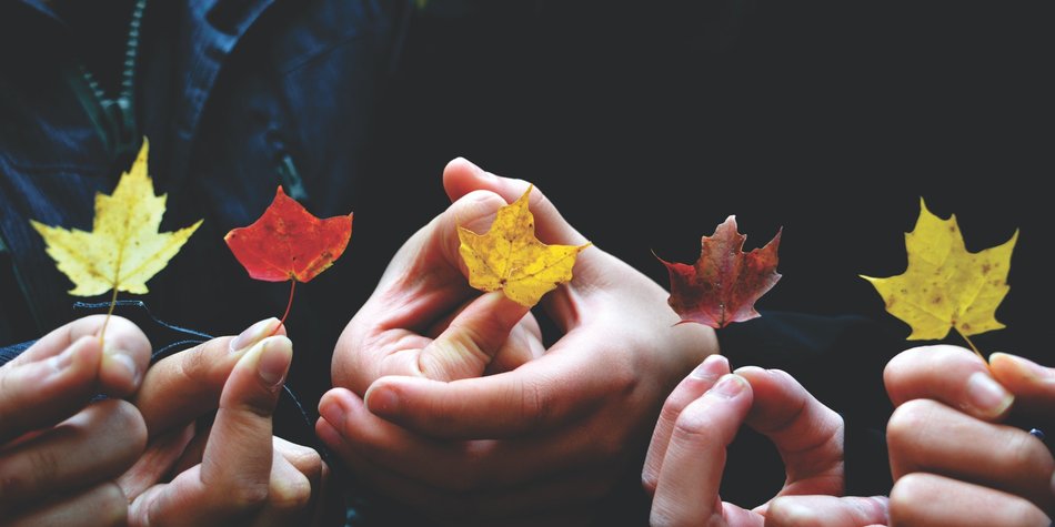 Warum verfärben sich die Blätter im Herbst? Warum verfärben sich die Blätter im Herbst?