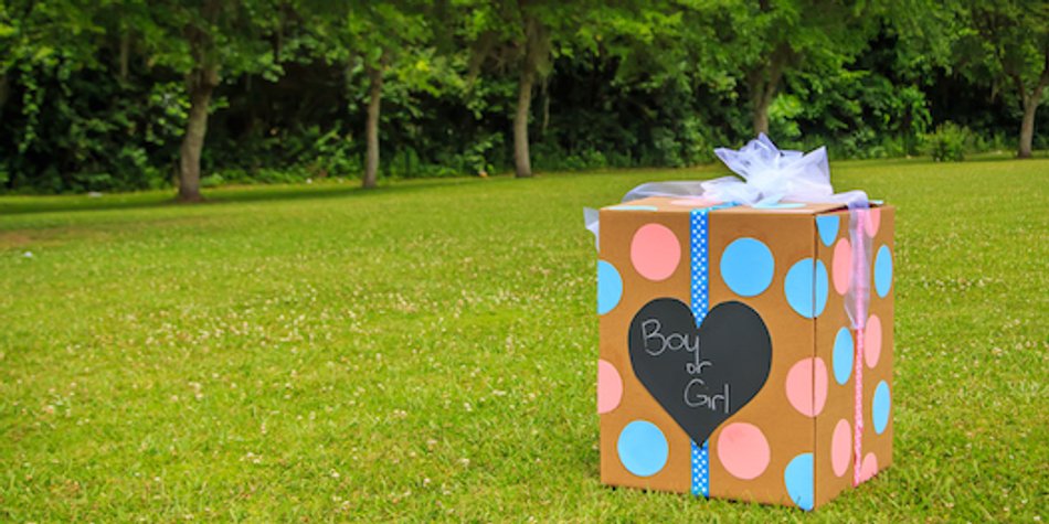 Gender Reveal Party: Wird's ein Mädchen oder ein Junge? Gender Reveal Party: Wird's ein Mädchen oder ein Junge?
