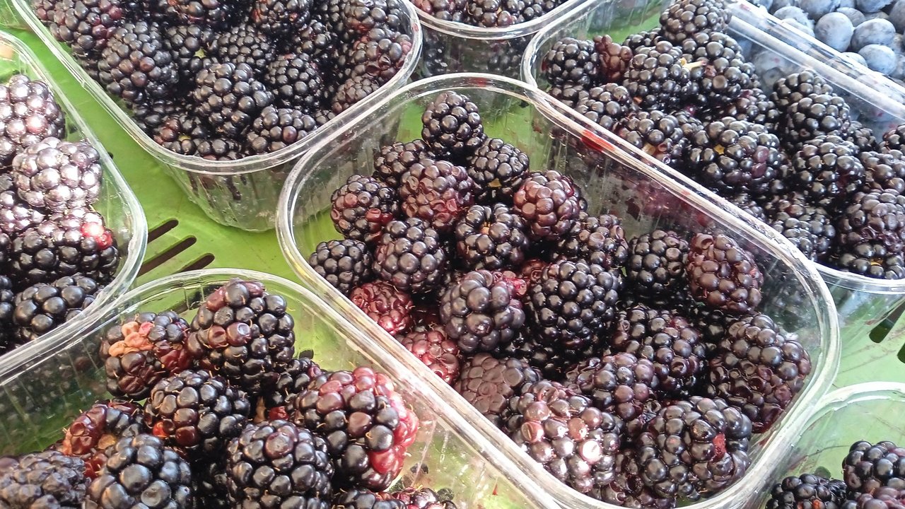 Reif und in Maßen verzehrt, sind Brombeeren gesund. Reif und in Maßen verzehrt, sind Brombeeren gesund.