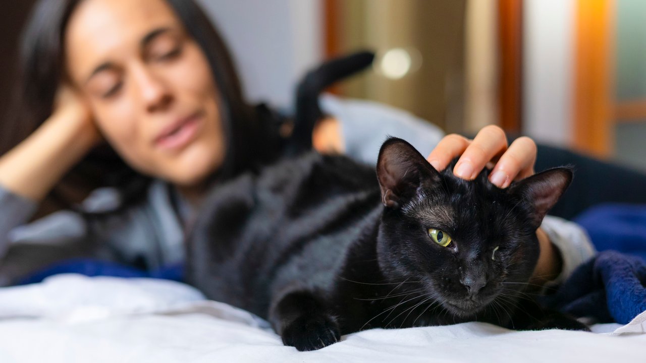 A young woman smiles happily, while playing and lovingly stroking her black cat in bed, as she wakes up in the morning. A young woman smiles happily, while playing and lovingly stroking her black cat in bed, as she wakes up in the morning.