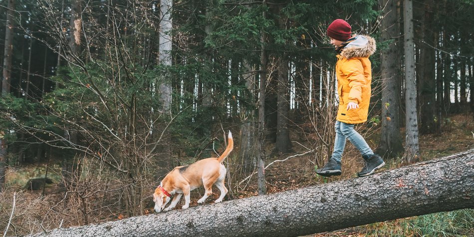 Familien-Tipps für den Herbst und Winter Familien-Tipps für den Herbst und Winter