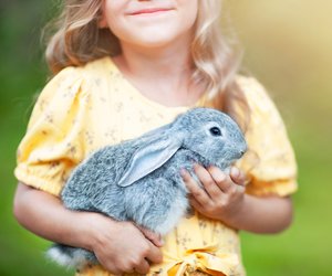 Für Langohren: Diese fünf Spielzeuge und Gadgets sind ein Muss für Kaninchen